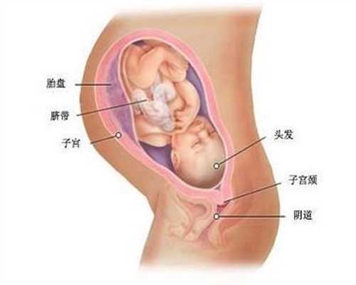 广州代孕产子：广州代孕第三代_广州代孕机构那里找