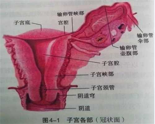 广州哪里有私人代孕：广州代孕第三代_广州代孕公司龙凤胎多少钱